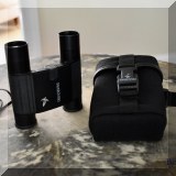 L02. Swarovski binoculars 